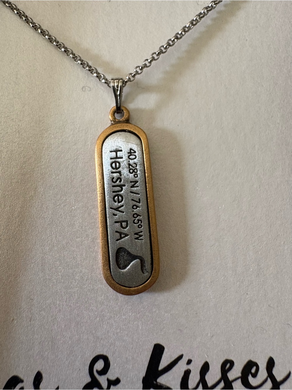 Luca+ Danni coordinates two-tone Hershey, PA necklace
